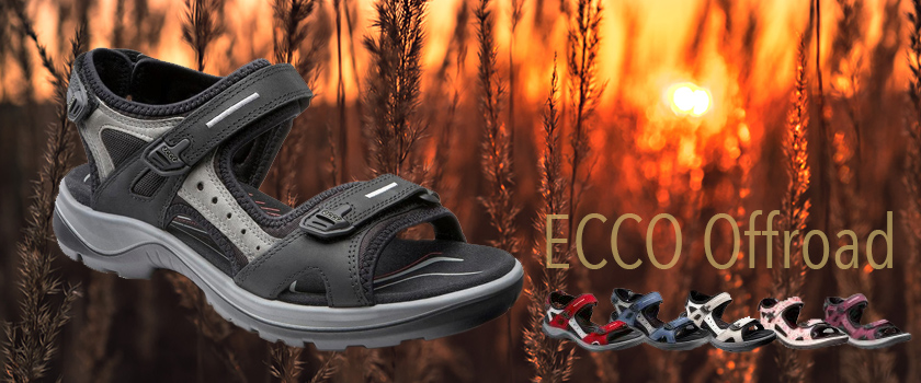 کفش اکو دانمارک