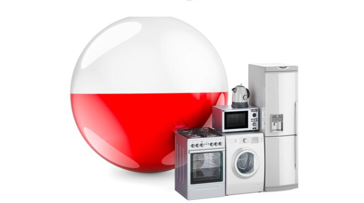 زلمر لهستان