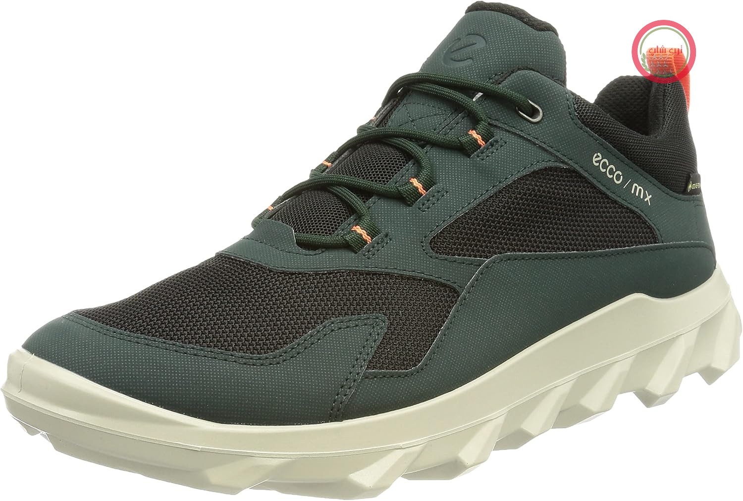 کفش‌های گور-تکس ECCO Herren MX
