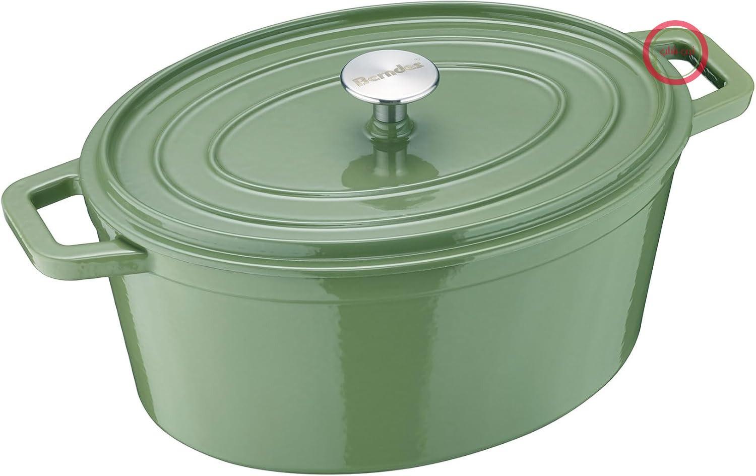 قابلمه چدنی بریان برندس آلمان Berndes B.iron 6L با درب - 31x24 سانتی متر - چدن با روکش مینا - قابلمه برای پخت و پز و کباب کردن - مناسب برای اجاق گازهای القایی - برای انواع اجاق گاز - سبز