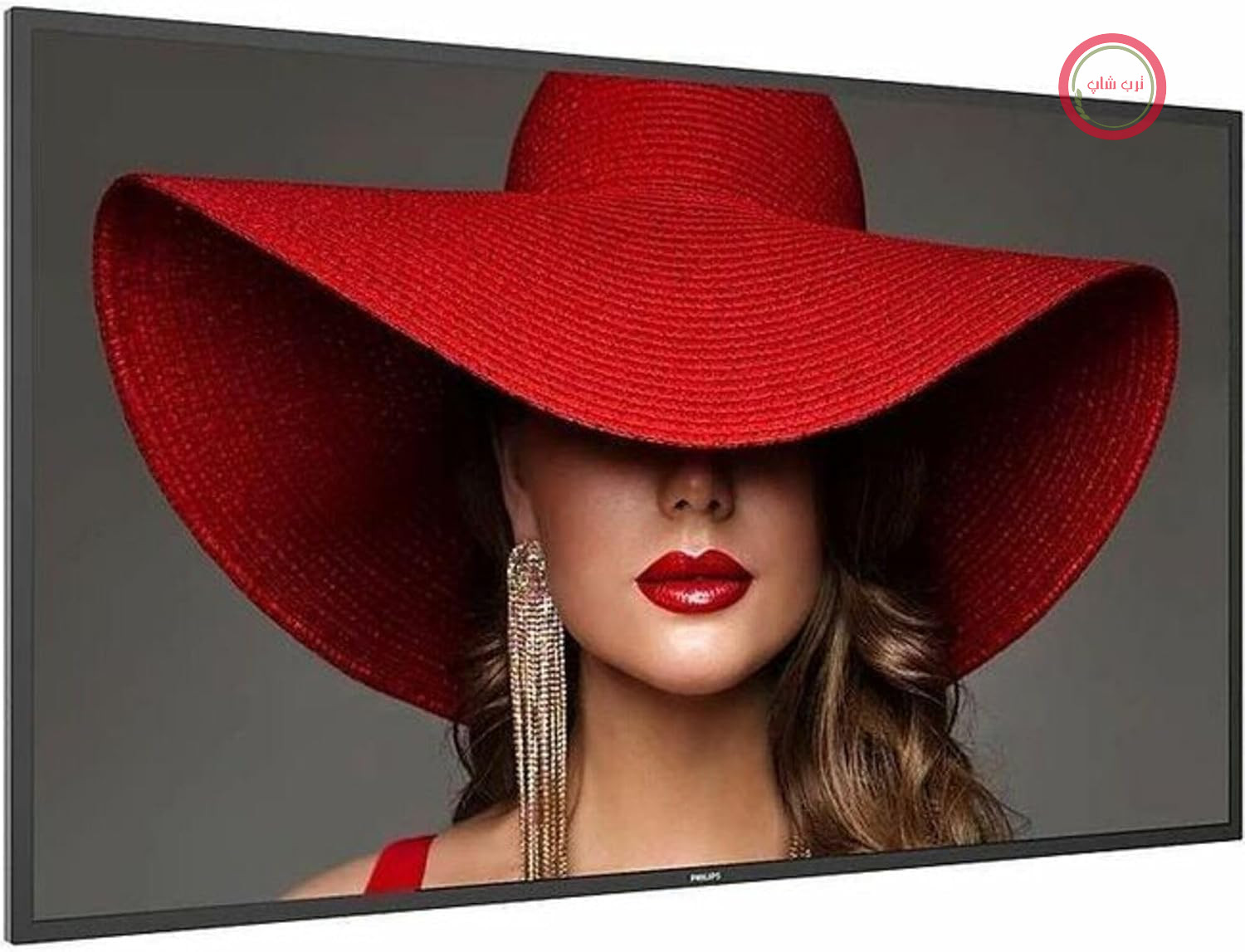 مانیتور LCD ویدئووال فیلیپس مدل D-Line 50 اینچ - مارک: فیلیپس - EAN: 0810112790061