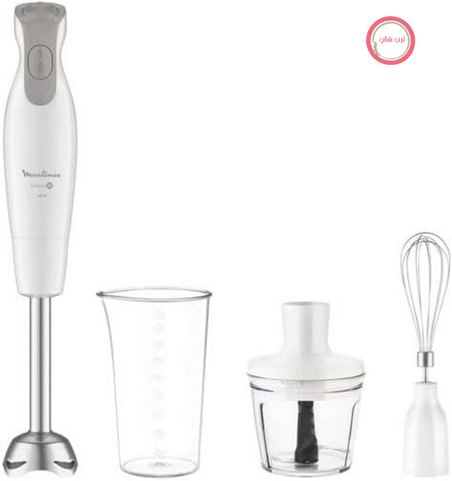 گوشت‌کوب برقی مولینکس فرانسه Moulinex مدل DailyChef DD5531 – قدرت ۶۰۰ وات