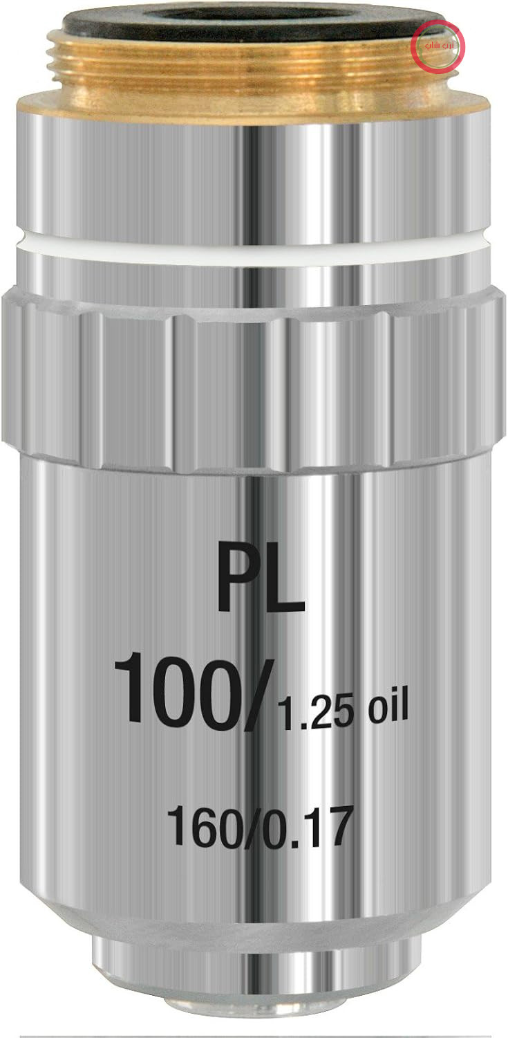 میکروسکوپ شیئی برسر پلاناکروماتیک DIN-PL 100x (روغنی) | میدان تصویر تخت بدون نیاز به فوکوس مجدد، محافظ نمونه فنری، وضوح بالا، برای عکاسی، روغن غوطه‌وری جداگانه فروخته می‌شود