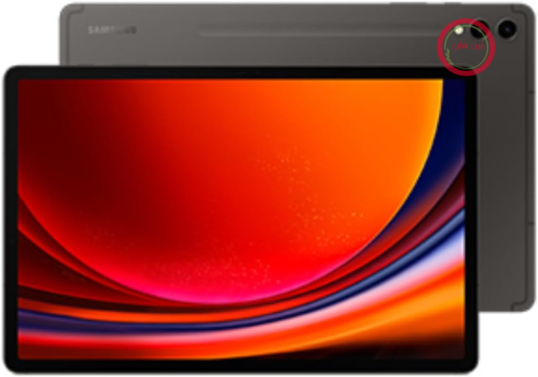 سامسونگ گلکسی تب S9+ (12.4 اینچ، 2023، 256 گیگابایت) گرافیتی (Generalüberholt)