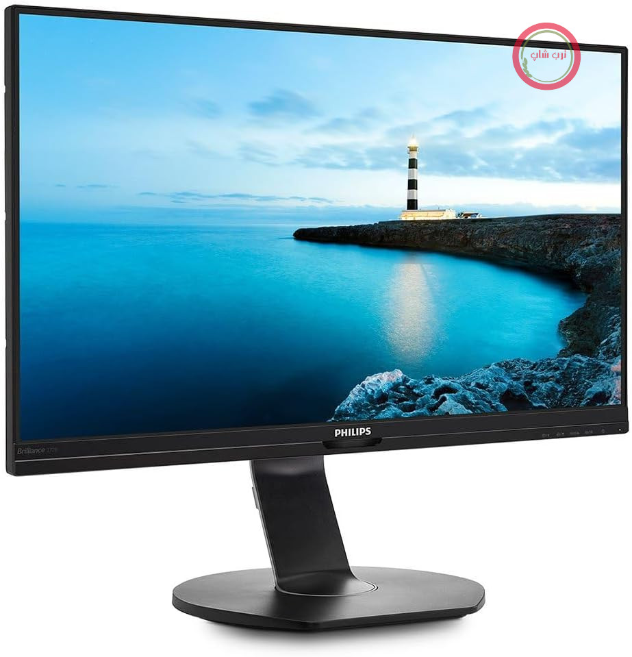 مانیتور فیلیپس 272B7QUPBEB - مانیتور 27 اینچی Zoll QHD با قابلیت اتصال USB-C، دارای پورت HDMI (رزولوشن 2560x1440، 60 هرتز، HDMI، DisplayPort، USB-C، RJ45، هاب USB) ساخت شرکت Schwarz