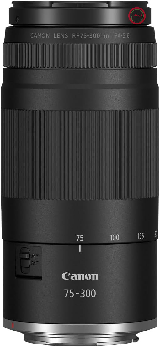 لنز دوربین کانن ژاپن  RF 75-300mm F4-5.6 | سازگار با دوربین‌های سیستم EOS R کانن، نه برای EOS DSLRها | زوم تله‌فوتو سبک برای عکاسی حیات وحش و ورزشی | دارای موتور فوکوس خودکار و پوشش Super Spectra