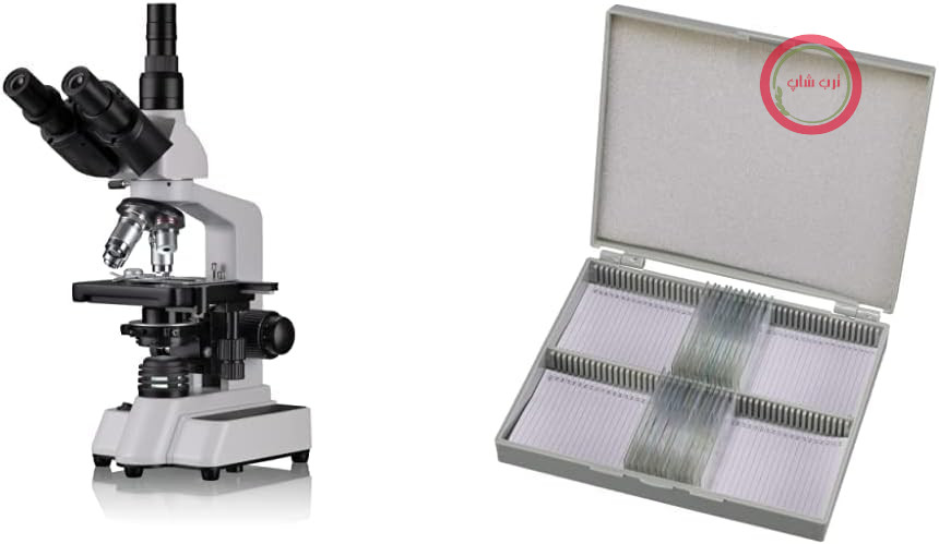 میکروسکوپ نوری عبوری Bresser مدل Trino با بزرگنمایی 40x-1000x برای کاربران پر تقاضا و اسلایدهای دائمی برای میکروسکوپ (25 عدد)، اسلایدهای از پیش آماده شده و نگهداری شده در موضوعات مختلف