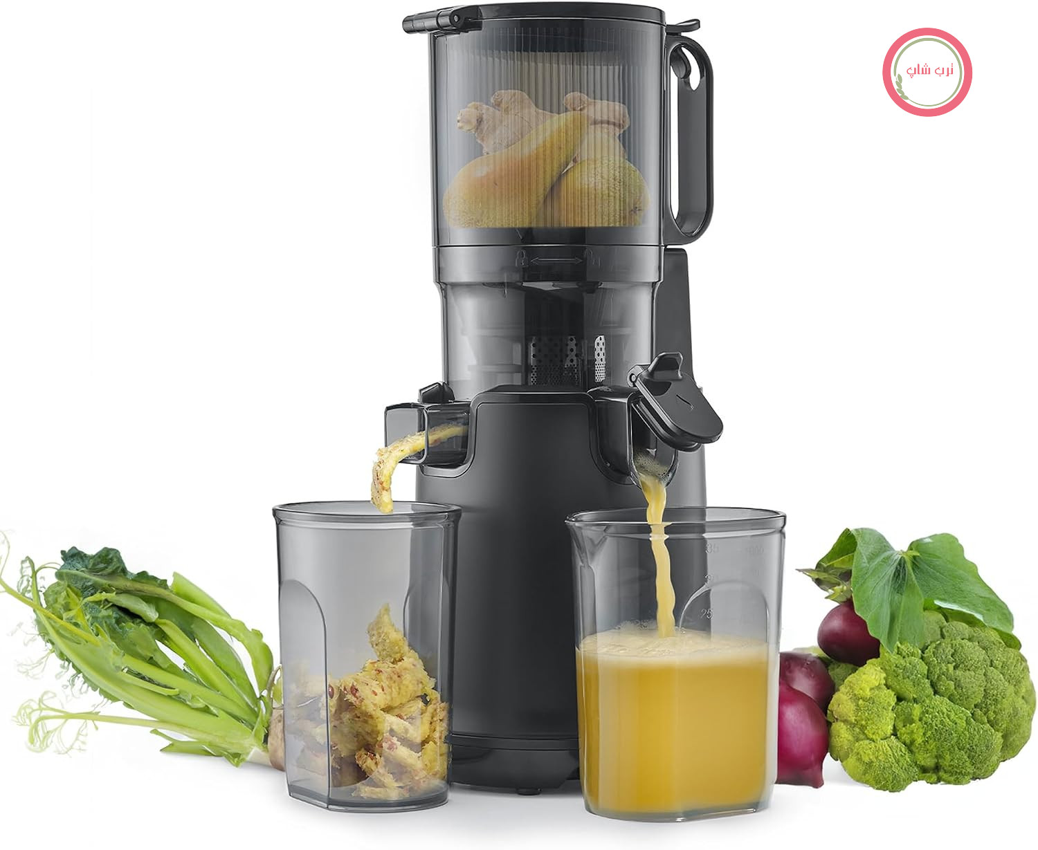 آبمیوه گیری آهسته کاسو آلمان CASO Juice Fit Pro، سرعت 40دور در دقیقه و دهانه 130میلی‌متری