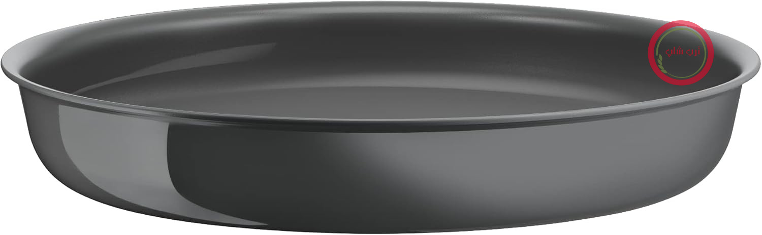 Tefal Ingenio Hobe 24 سانتی‌متر، القایی، سرامیک بدون لایه، پشت. بازیافتی، پخت و پز سالم، ساخت فرانسه، Renew L2600402، خاکستری - Hippo Iron